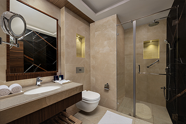 premium-room-shower-cubicle.jpg